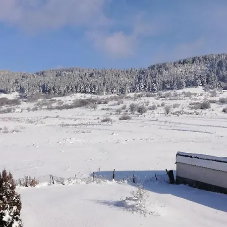 فندق Boutique The White Pine 3*