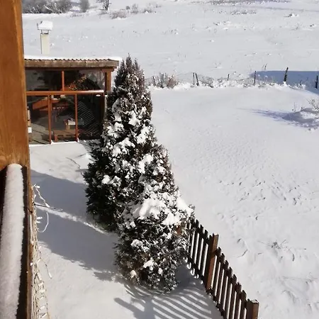 فندق Boutique The White Pine ساموكوف